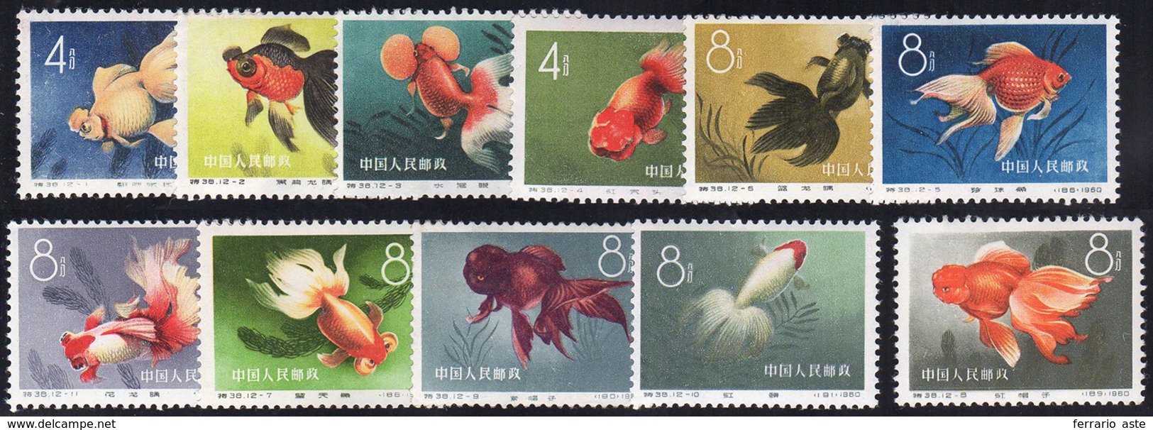 1960 - Fishes, Complete Set (M.534/545), O.g., MNH. ... - Andere & Zonder Classificatie
