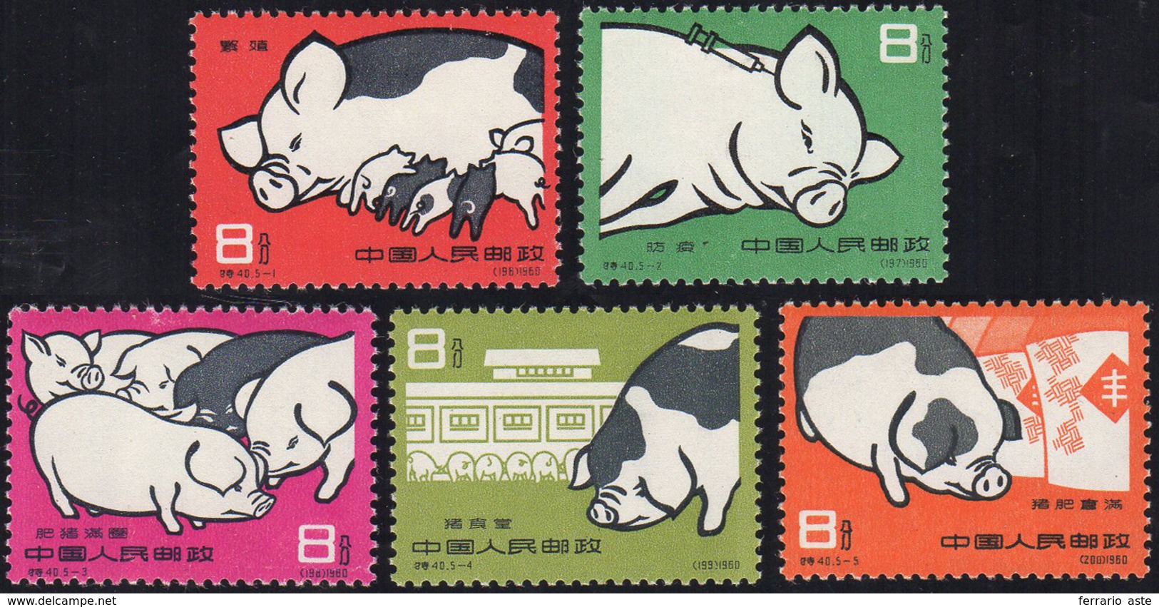 1960 - Pigs Breeding, Complete Set (M546/550), O.g., MNH. ... - Andere & Zonder Classificatie