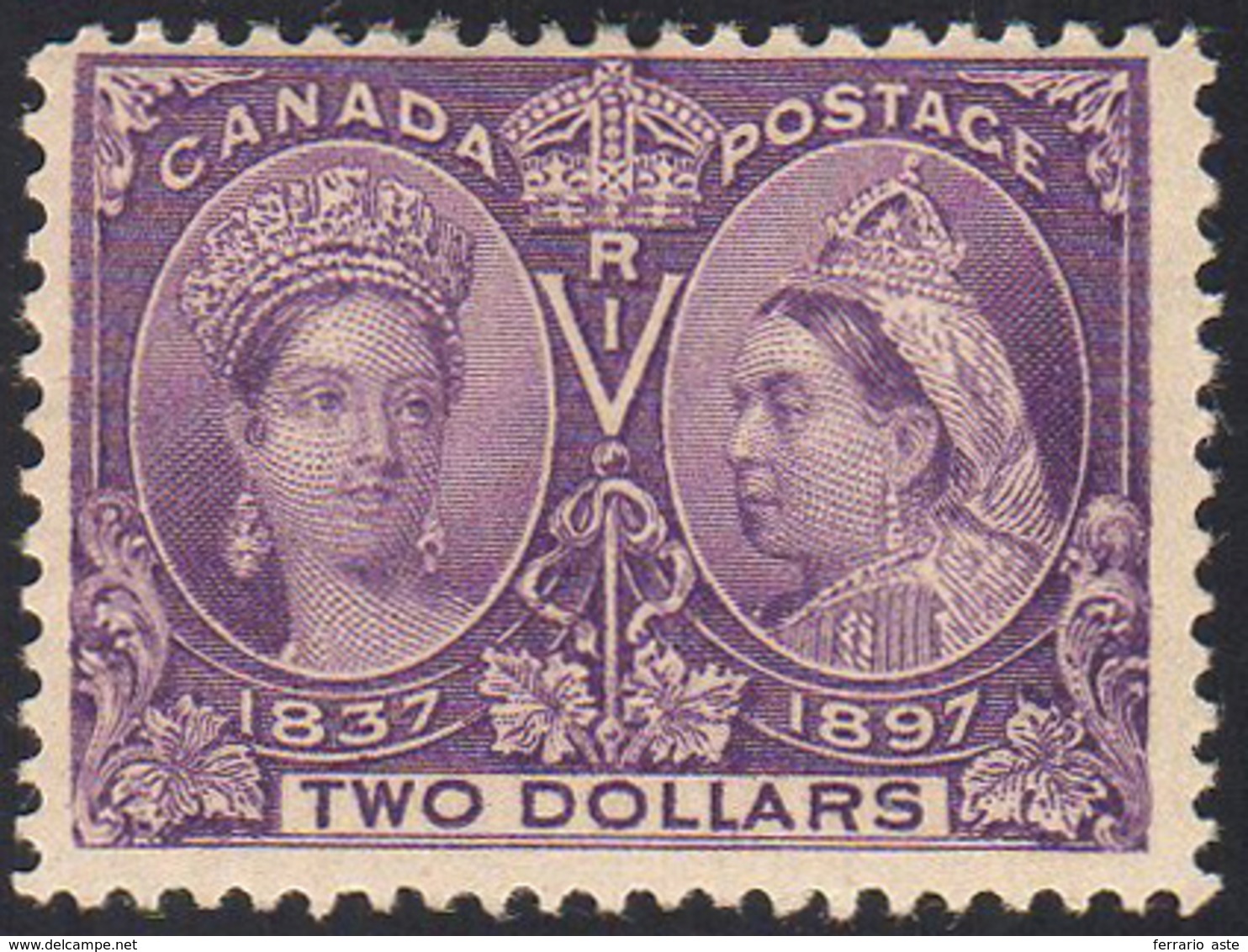 CANADA 1897 - 2 D. Anniversario Del Regno Di Vittoria (50), Gomma Originale, Perfetto.g.Oliva. ... - Andere & Zonder Classificatie
