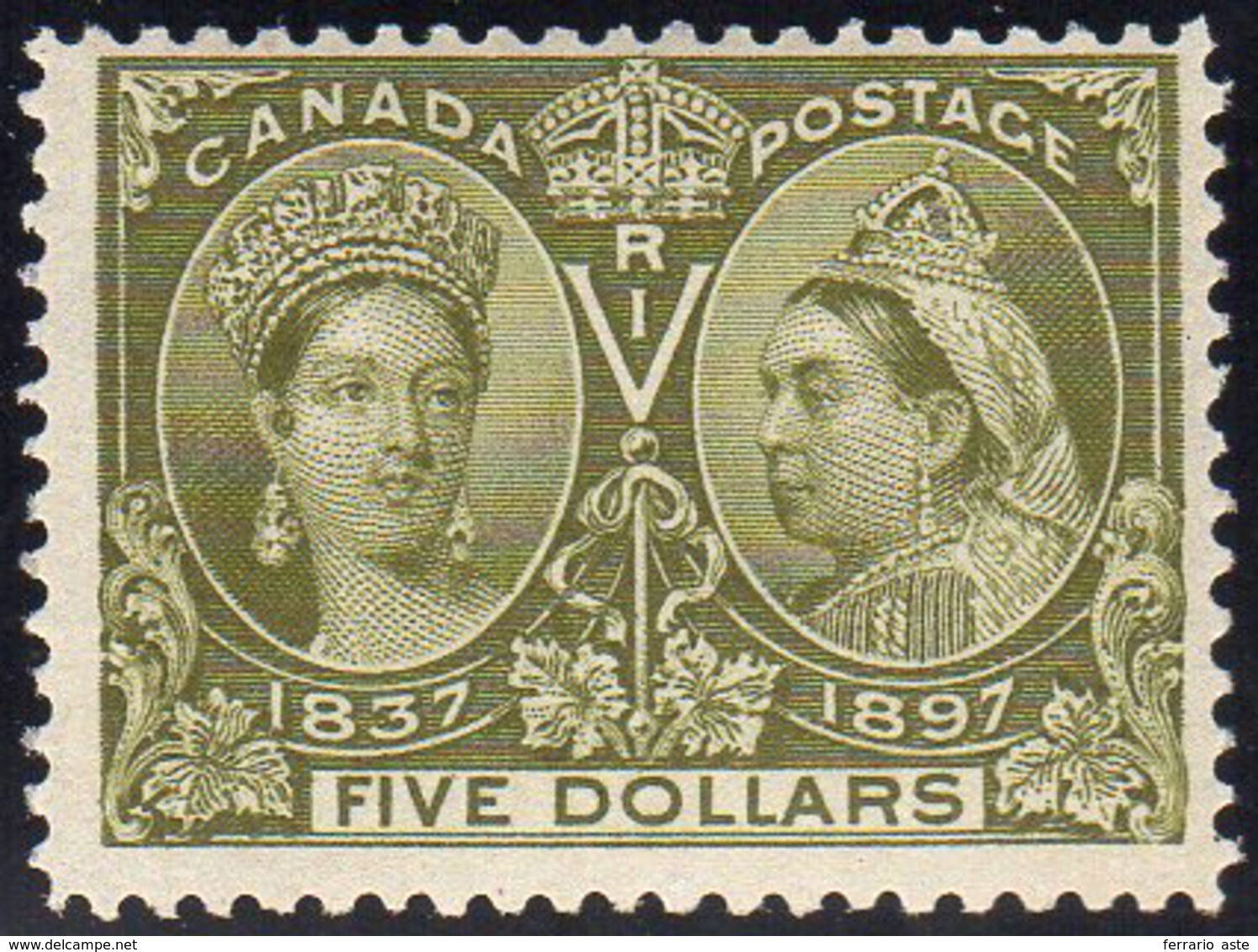 CANADA 1897 - 5 D. Anniversario Del Regno Di Vittoria (53), Gomma Integra, Perfetto. MNH. G.Oliva, C... - Andere & Zonder Classificatie