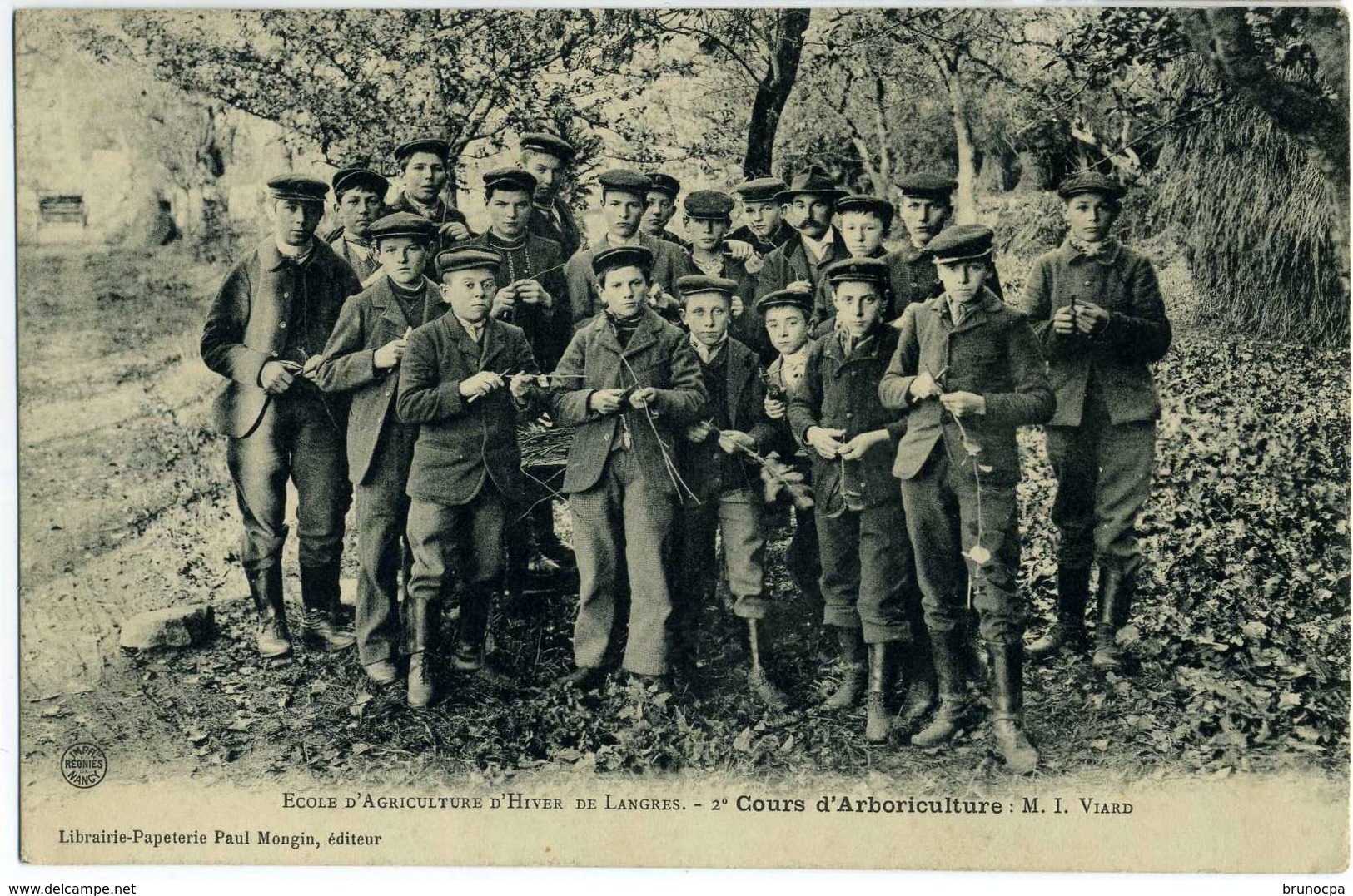 LANGRES école D'agriculture , Cours D'arboriculture, M Viard 1908, Rare - Langres