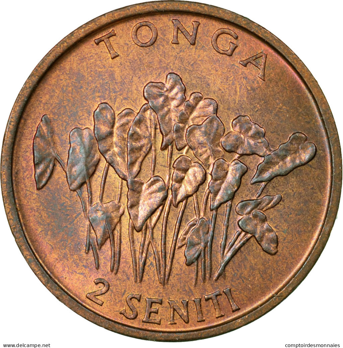 Monnaie, Tonga, King Taufa'ahau Tupou IV, 2 Seniti, 1981, TTB, Bronze, KM:67 - Tonga