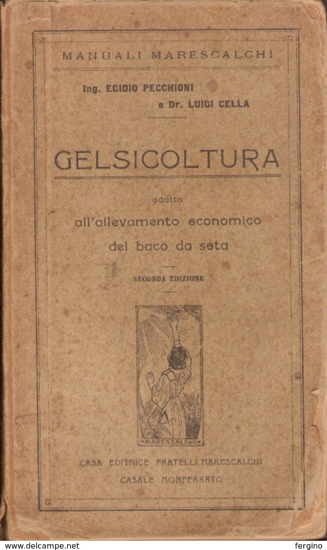 MANUALE MARESCALCHI - PECCHIONI - CELLA : GELSICOLTURA - Altri & Non Classificati