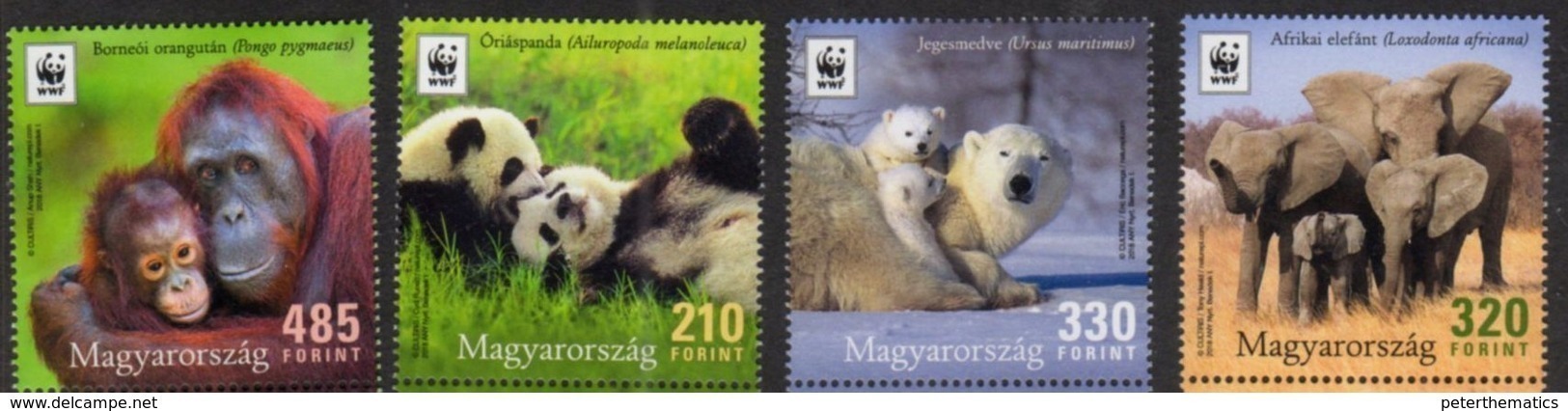 HUNGARY, 2018,MNH,  WWF, PANDAS, ELEPHANTS, POLAR BEARS, ORANG UTANS,4v NICE! - Nuovi