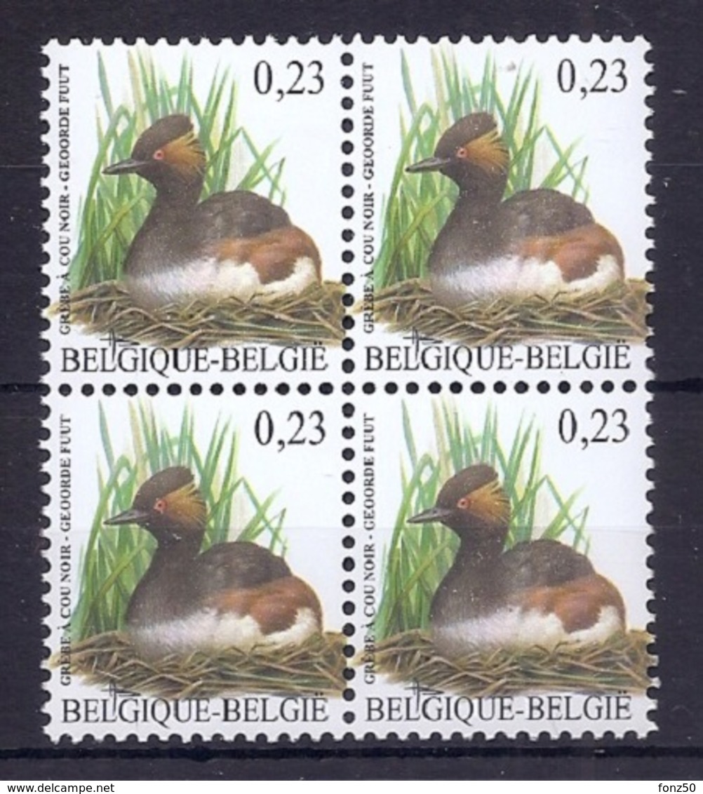 BELGIE * Buzin * Nr 3546 * Postfris Xx * DOF FLUOR PAPIER - 1985-.. Pájaros (Buzin)