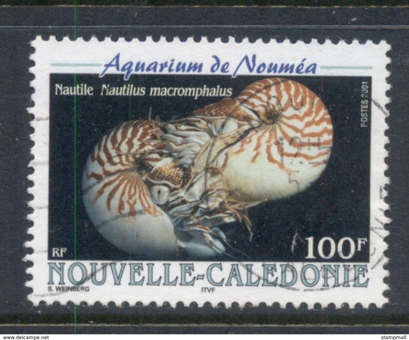 New Caledonia 2000 Noumea Aquarium Nautilus Shells FU - Oblitérés