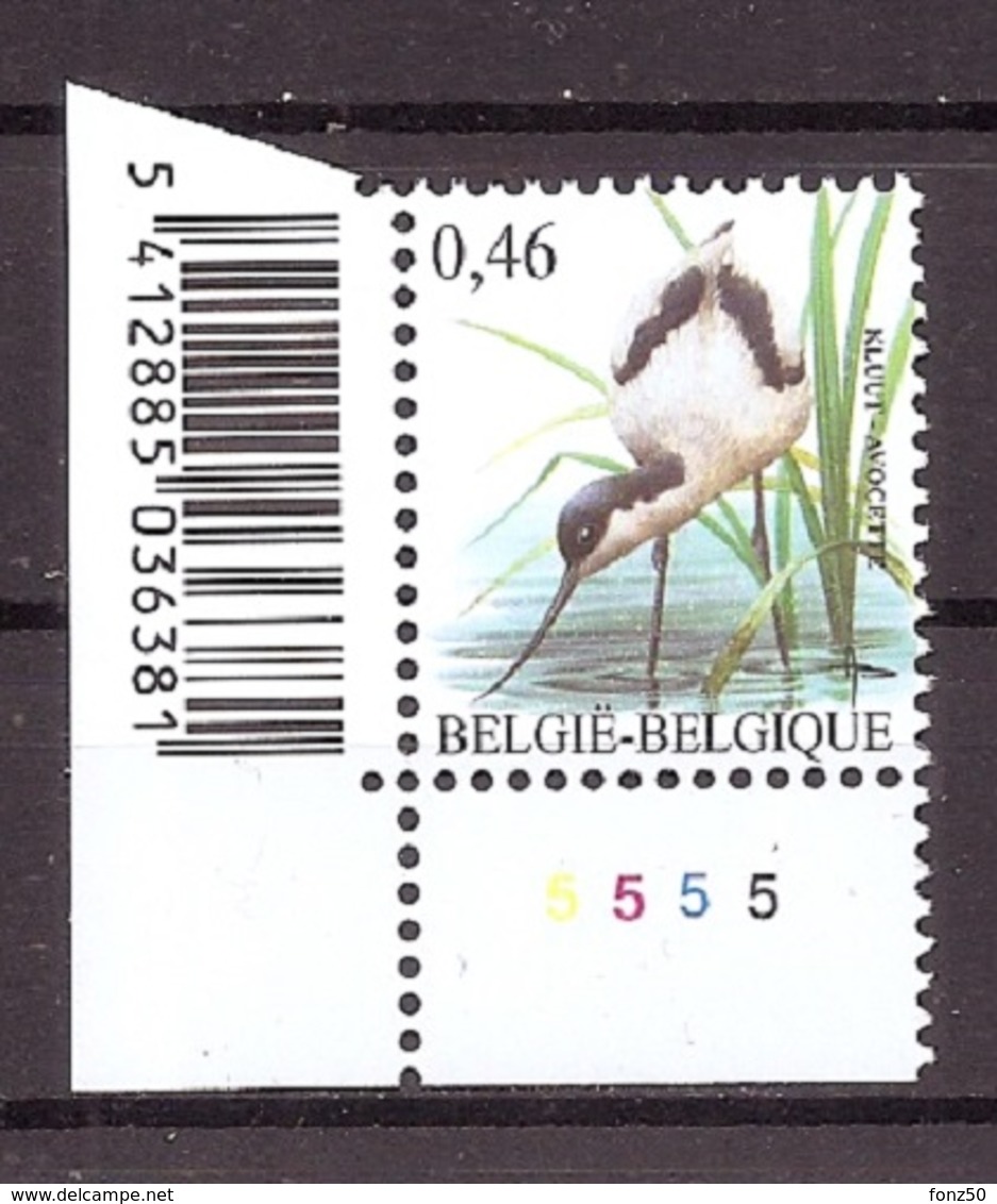 BELGIE * Buzin * Nr 3479  Plaatnr 5 * Postfris Xx * DOF FLUOR  PAPIER - 1985-.. Oiseaux (Buzin)