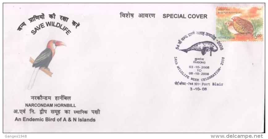 India  2008  Birds  Hornbill  Dugogng  Cancellation  Port Blair  Special  Cover #  15365  D Inde Indien - Cuco, Cuclillos