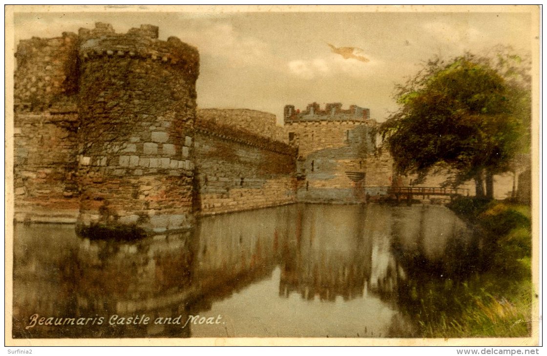 ANGLESEY - BEAUMARIS CASTLE AND MOAT Ang50 - Anglesey