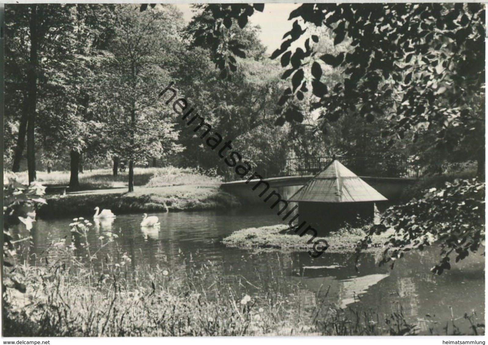 Berlin-Buch - Schloßpark - Foto-Ansichtskarte - Verlag H. Sander Berlin - Buch