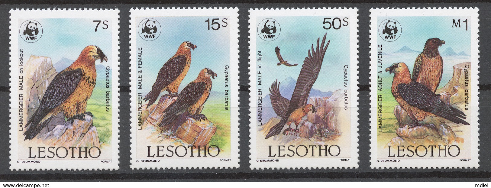 Lesotho 1986 Mi# 556-59* BIRDS - Lesotho (1966-...)