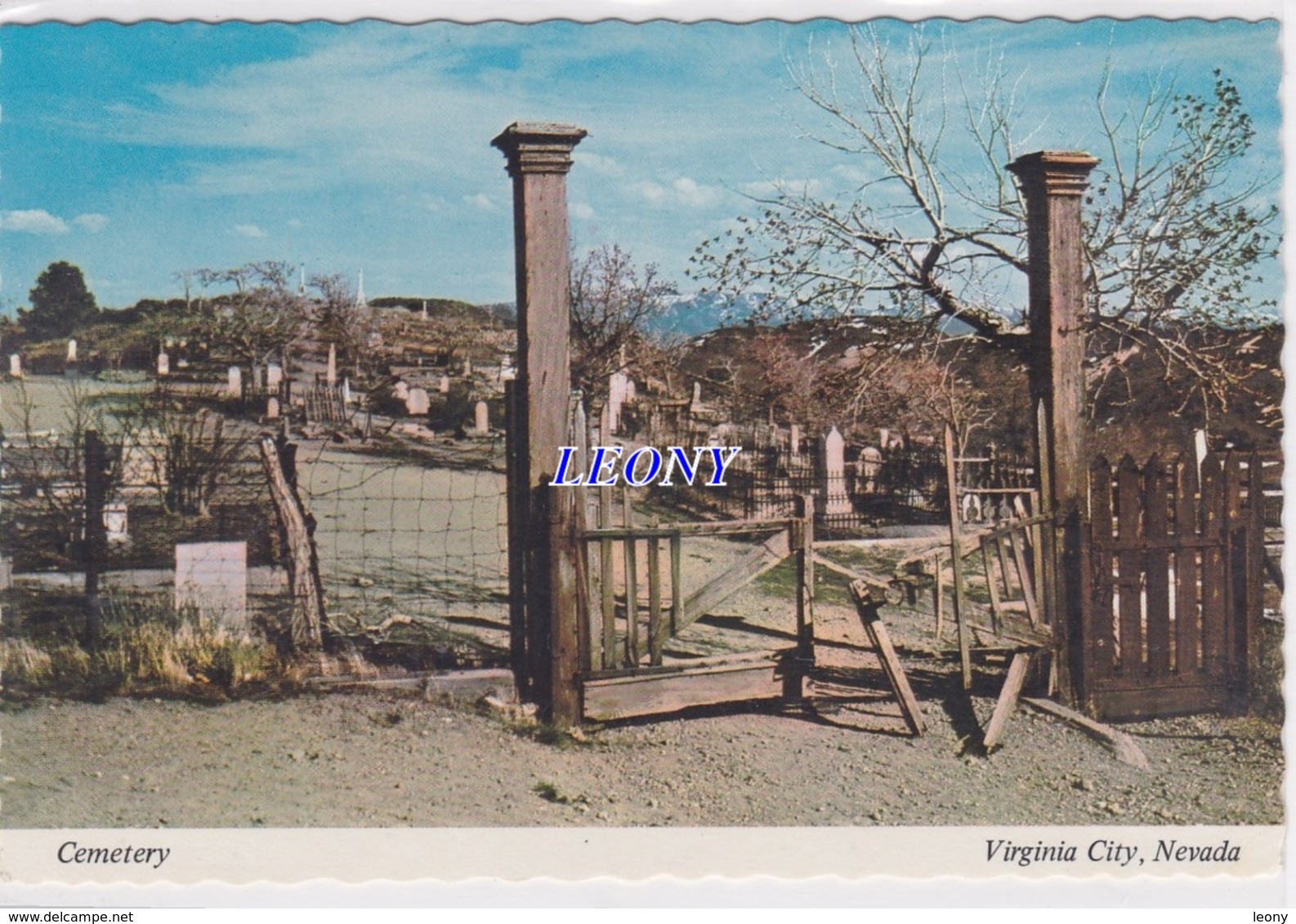 CPM   D' AMERIQUE - VIRGINIA CITY NEVADA - CEMETERY - Autres & Non Classés