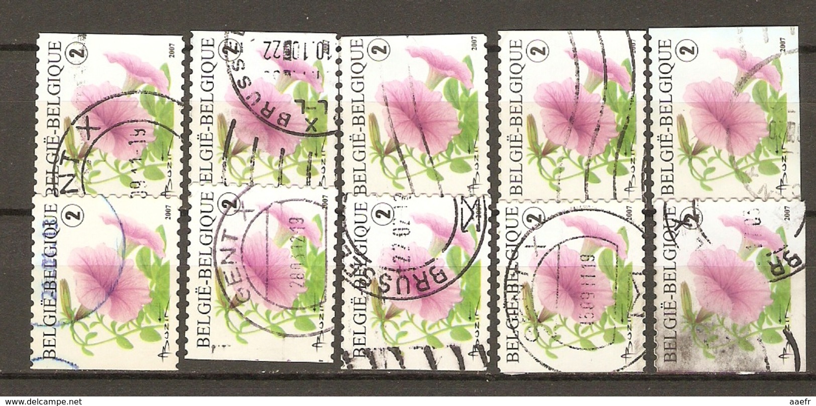 Belgique 2007 - Fleurs, Pétunia - Série Complète De Carnet - Petit Lot De 10 ° - 4 Timbres Différents - Used Stamps