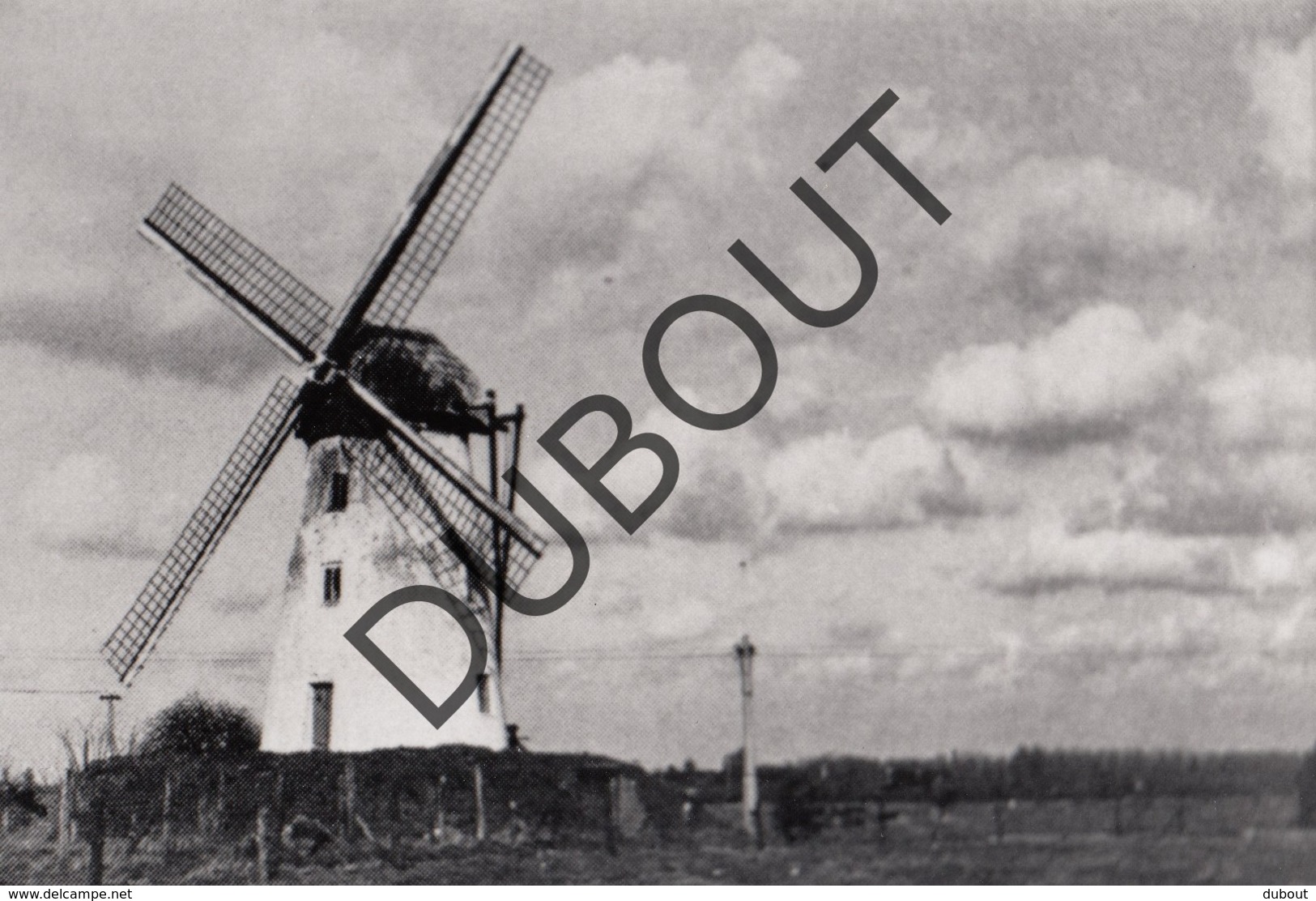 Schelderode Molen/Moulin Foto (kopie?) B12 - Merelbeke