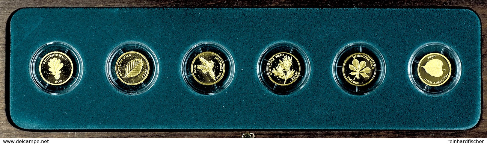 Set Zu 6 X 20 Euro, Gold, 2010-2015, Eiche-Linde, Mit Zertifikaten In Ausgabeschatulle, St., Katalog: J. 552/98 St - Altri & Non Classificati