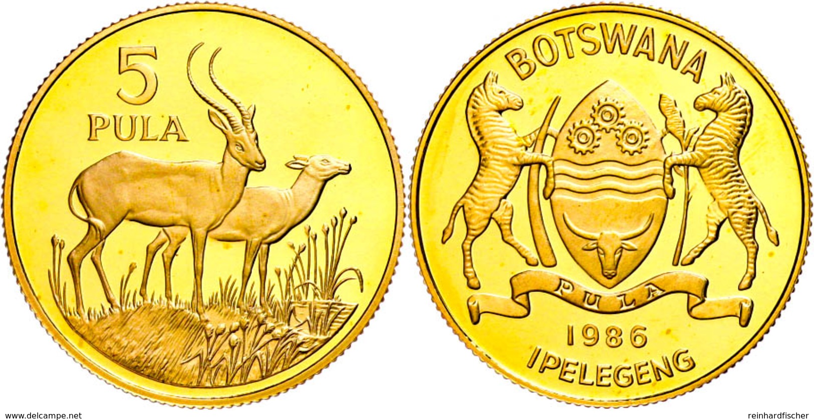 5 Pula, Gold, 1986, Red Lechwe (Moorantilope), 14,60g Fein, KM 19, In Kapsel, Mit WWF-Zertifikat, PP. Auflage 5000 Stück - Botswana