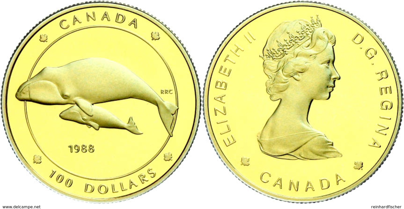 100 Dollars, Gold, 1988, Grönlandwal, Mit Zertifikat In Ausgabeschatulle, KM 162, Fb. 19, PP.  PP - Canada