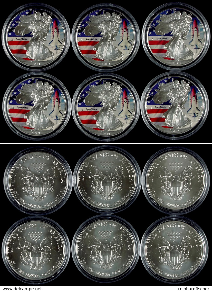 Set Zu 6x 1 Dollar, 2014, Silver Eagle - Space Shuttle, Je 1 Unze Silber, Coloriert, Nur In Kapsel, St  St - Altri & Non Classificati