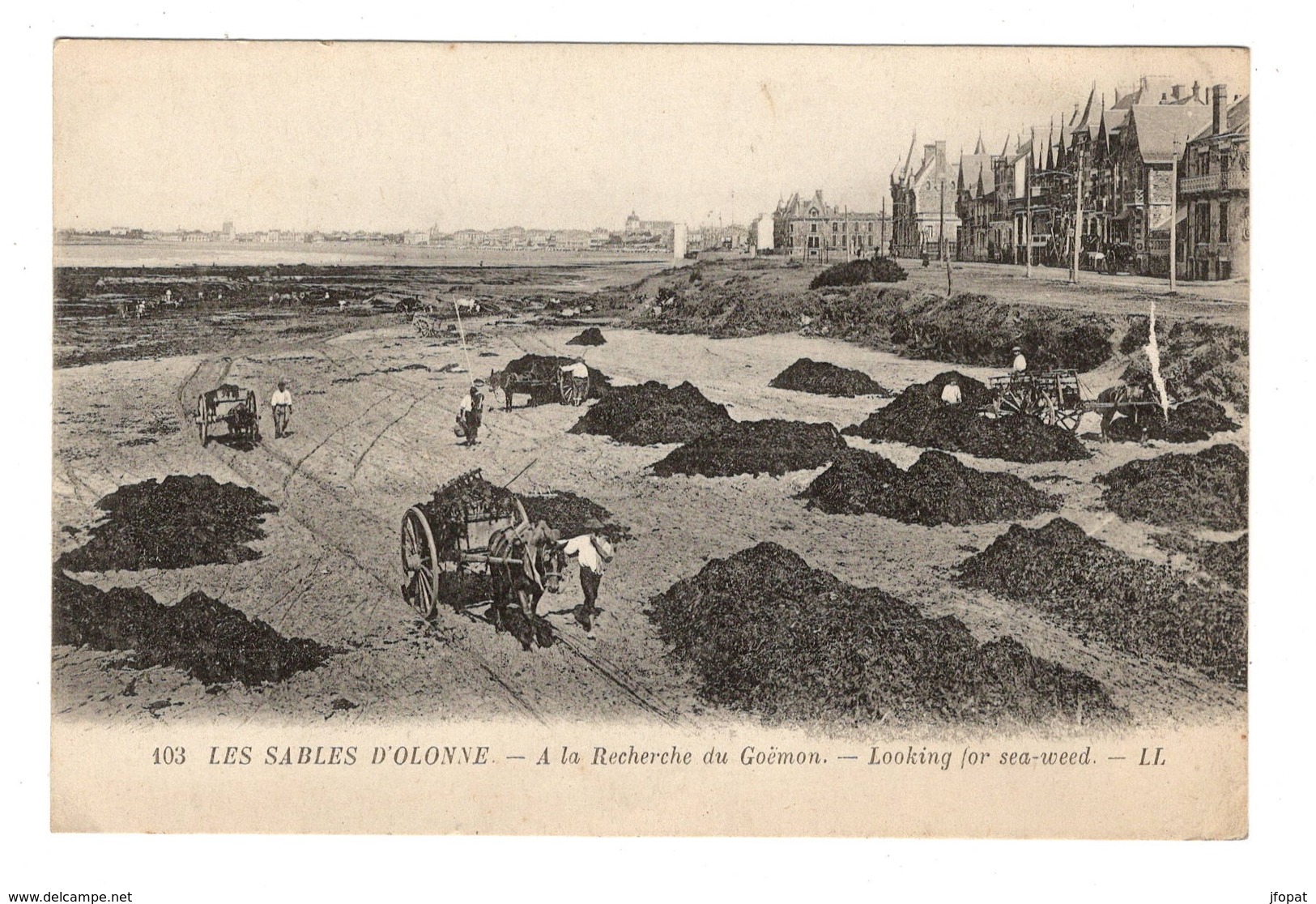 85 VENDEE - SABLES D'OLONNE A La Recherche Du Goëmon - Sables D'Olonne