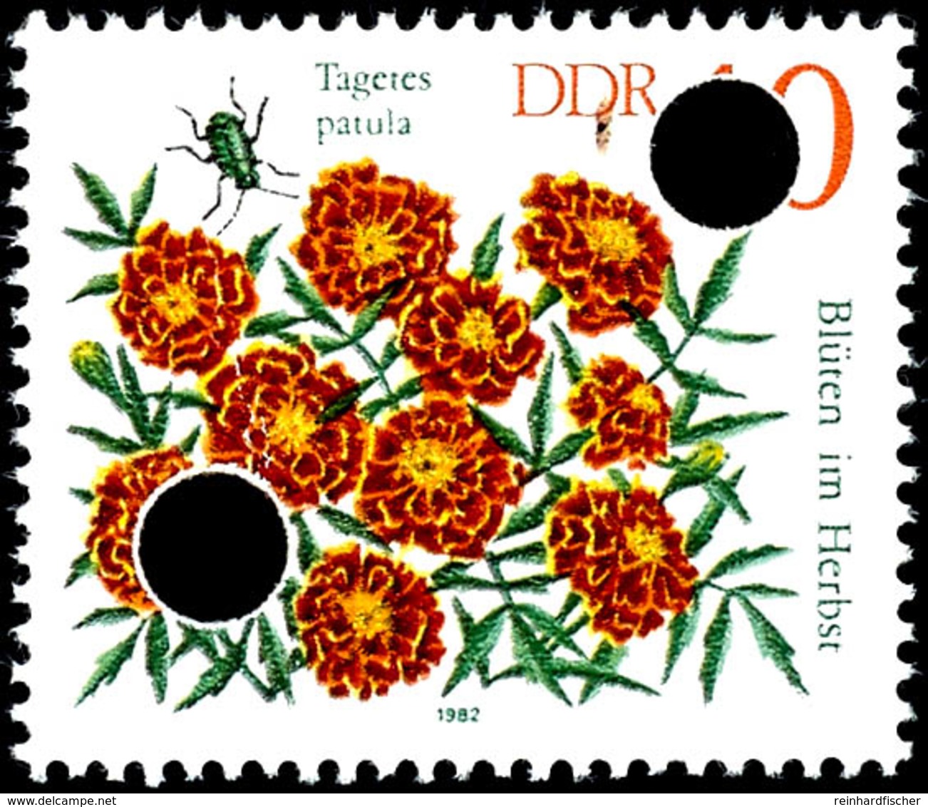 10 Pfg Herbstblumen Mit Seltener Abart "Farbfleck Unter Zweitem D Von DDR" Sowie Entwertung Durch Zwei Lochungen Wie All - Altri & Non Classificati