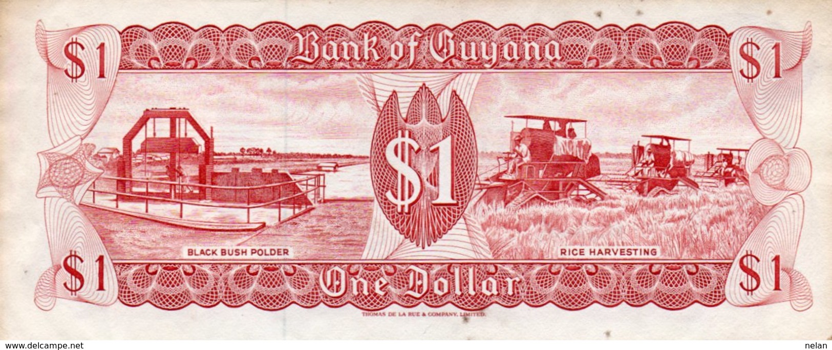 GUYANA 1 DOLLAR 1992 P-21g2 UNC - Guyana