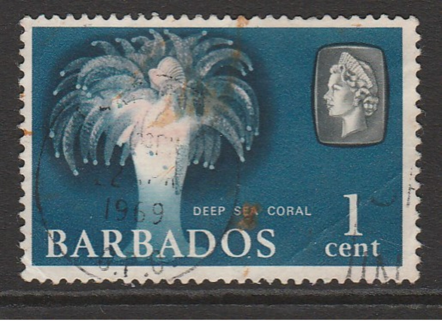 Barbados 1965 Marine Life 1 C Multicoloured SW 236 O Used - Barbados (1966-...)