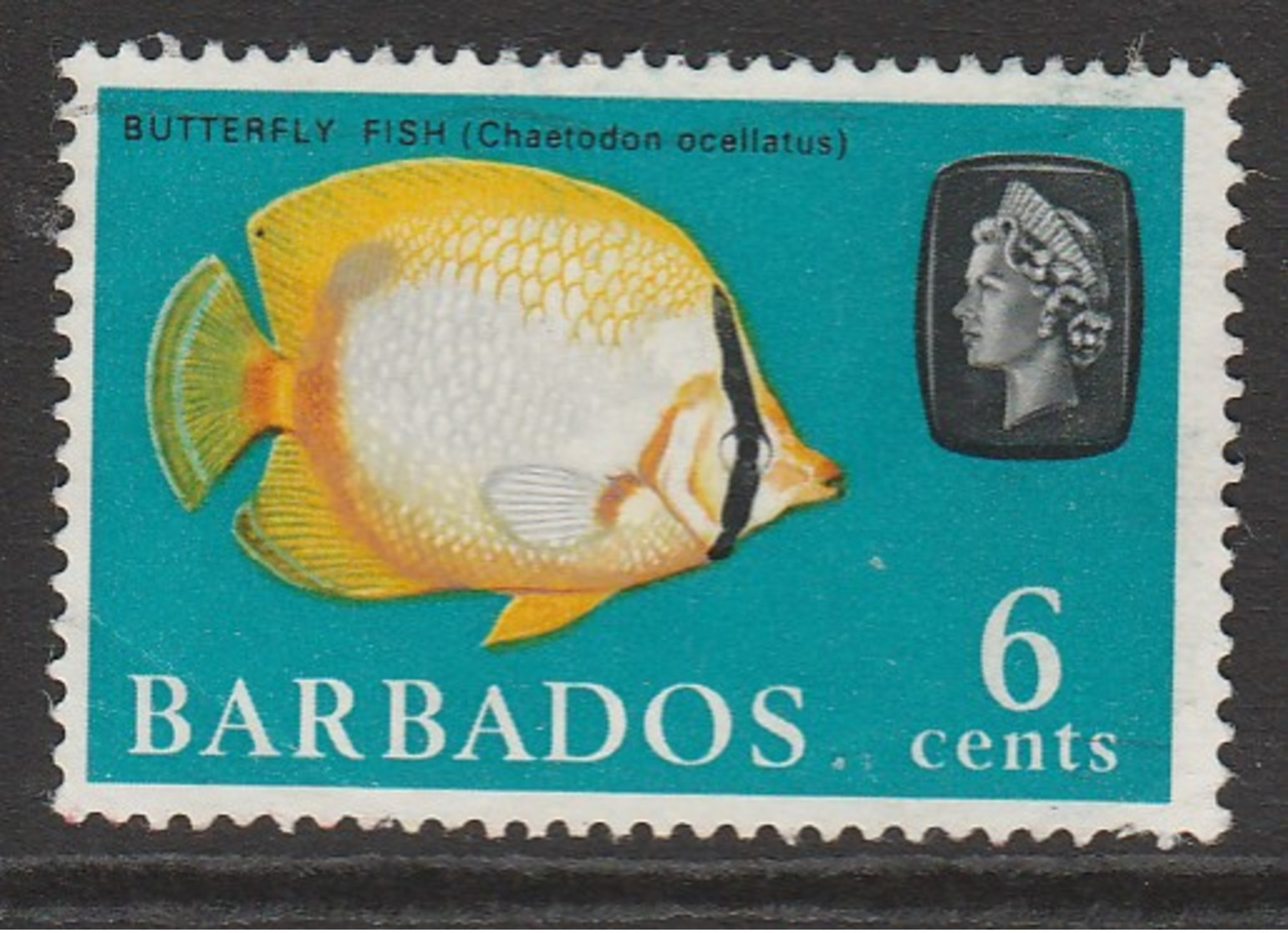 Barbados 1965 Marine Life 6 C Multicoloured SW 241 O Used - Barbados (1966-...)