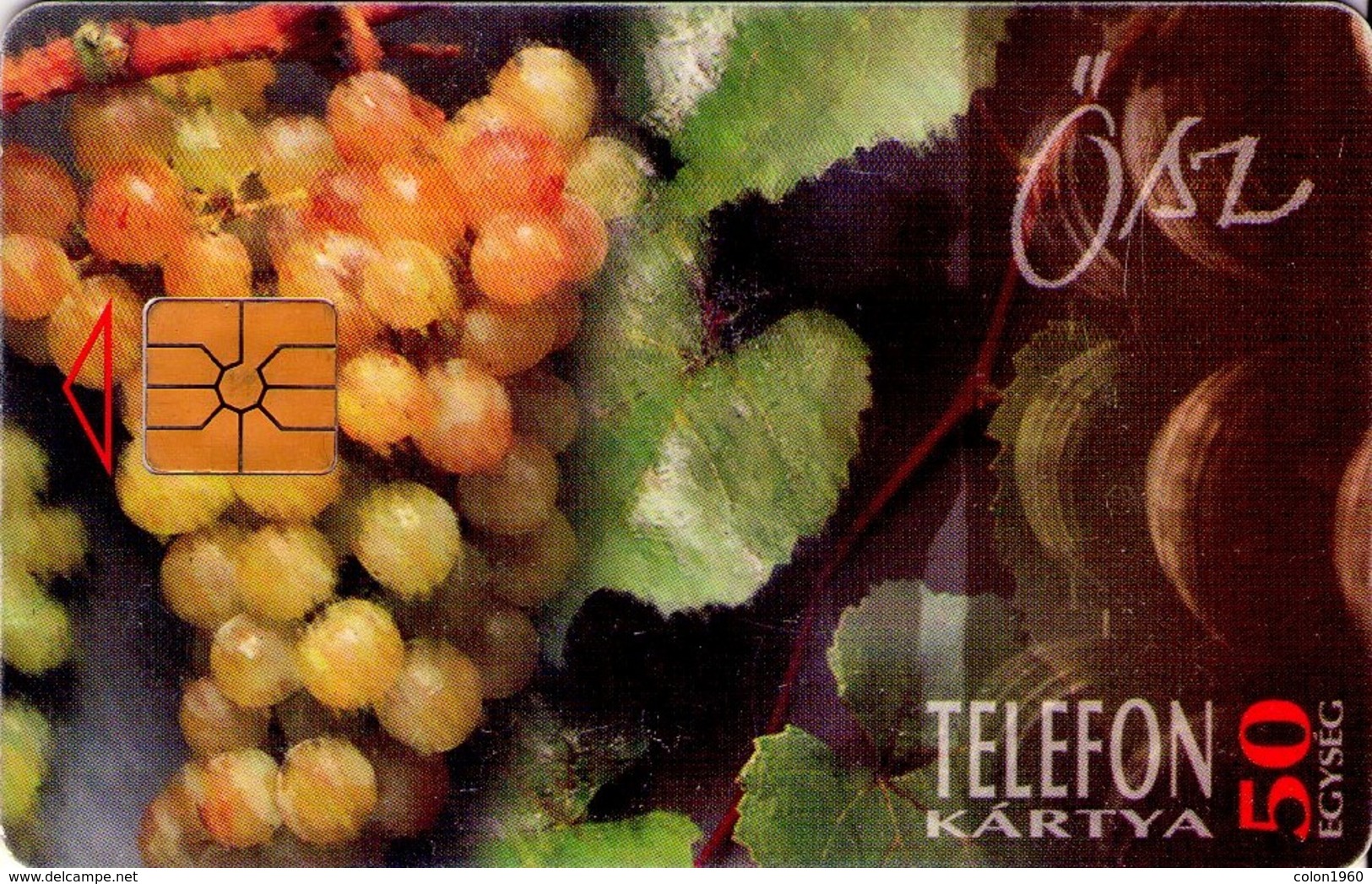 TARJETA TELEFONICA DE HUNGRIA. AUTUMN. HU-P-1995-29. (188) - Hungría