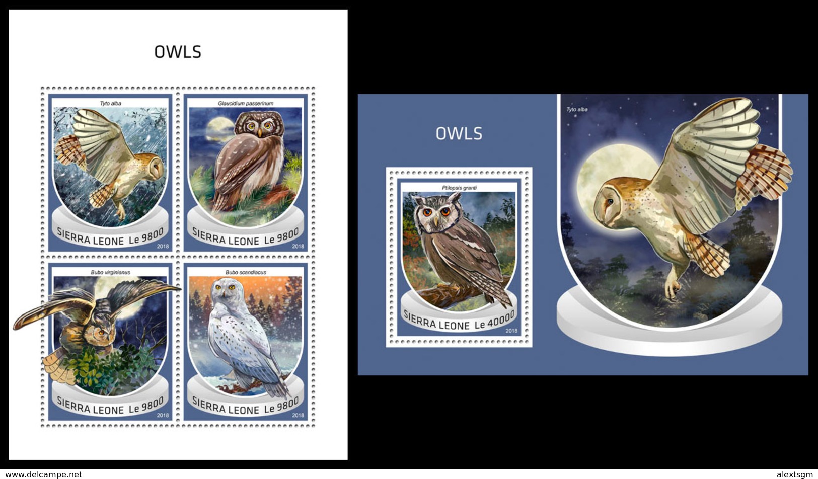 SIERRA LEONE 2018 - Owls. M/S + S/S Official Issue. - Búhos, Lechuza