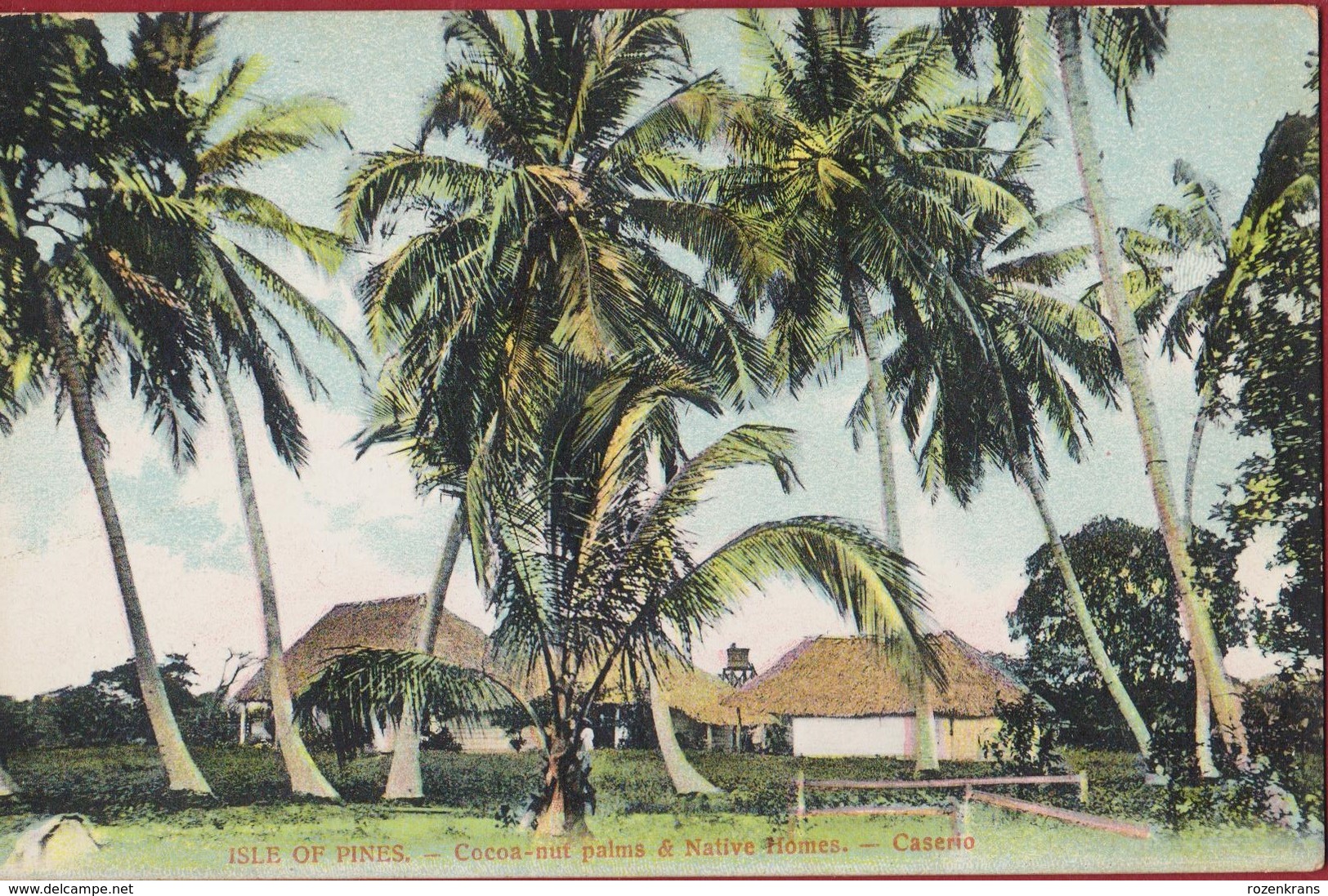 Cuba Isla De Pinos Coco Cocoa Nut Palms Native Homes Caserio Colonial Period Rare Old Postcard Tarjeta Postal - Cuba