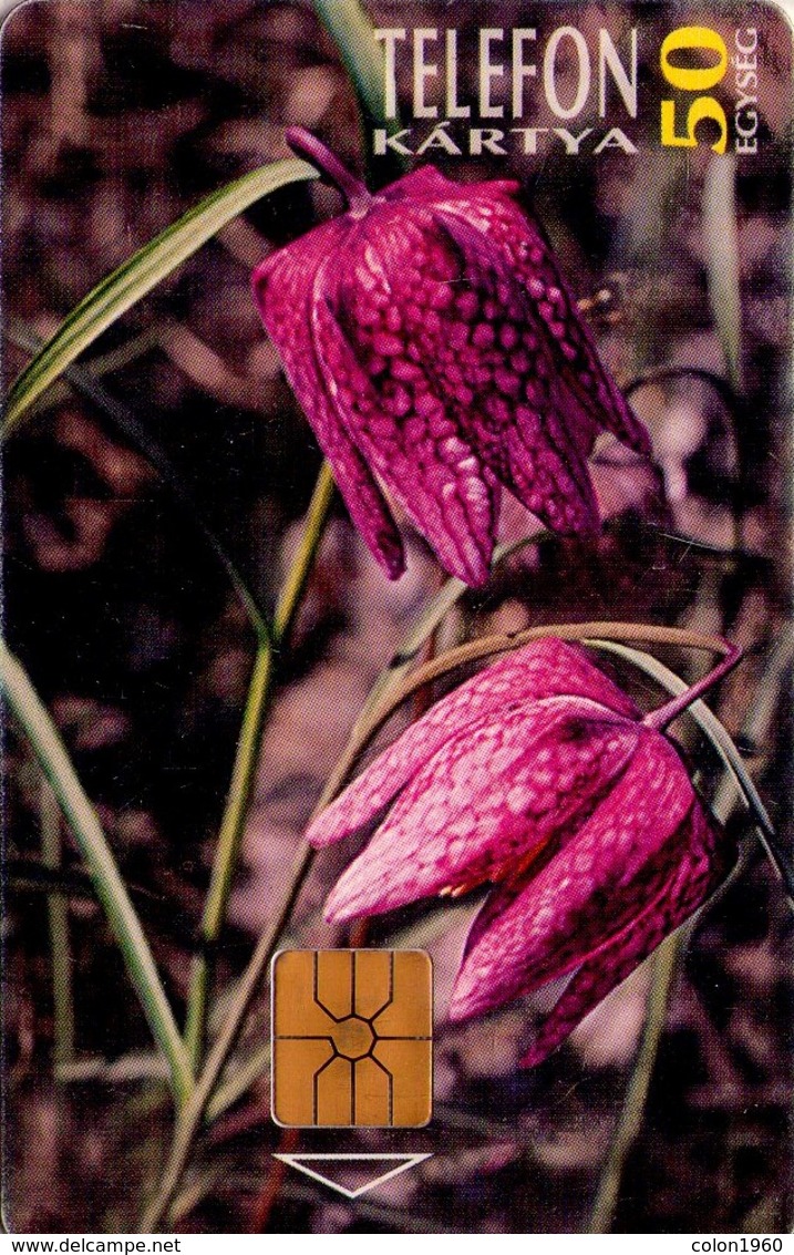 TARJETA TELEFONICA DE HUNGRIA. PROTECTED FLOWERS.  Kockás Liliom (Fritillaria Meleagris). HU-P-1995-24Aa. (187) - Flores