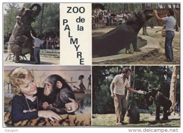 CPM - PARC ZOOLOGIQUE DE LA PALMYRE - MULTIVUES - Edition Artaud - Autres & Non Classés