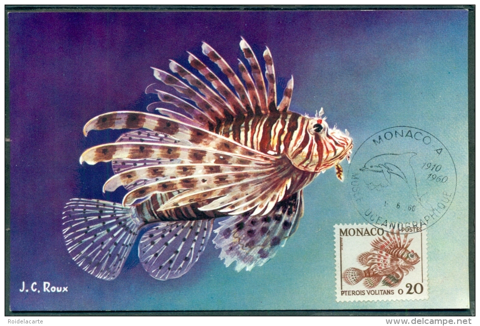 CM-Carte Maximum Card # 1960 -Monaco # Animaux  # Faune Marine #poissons,fish # Rascasse Volante ,Rotfeuerfisch,lionfish - Cartes-Maximum (CM)