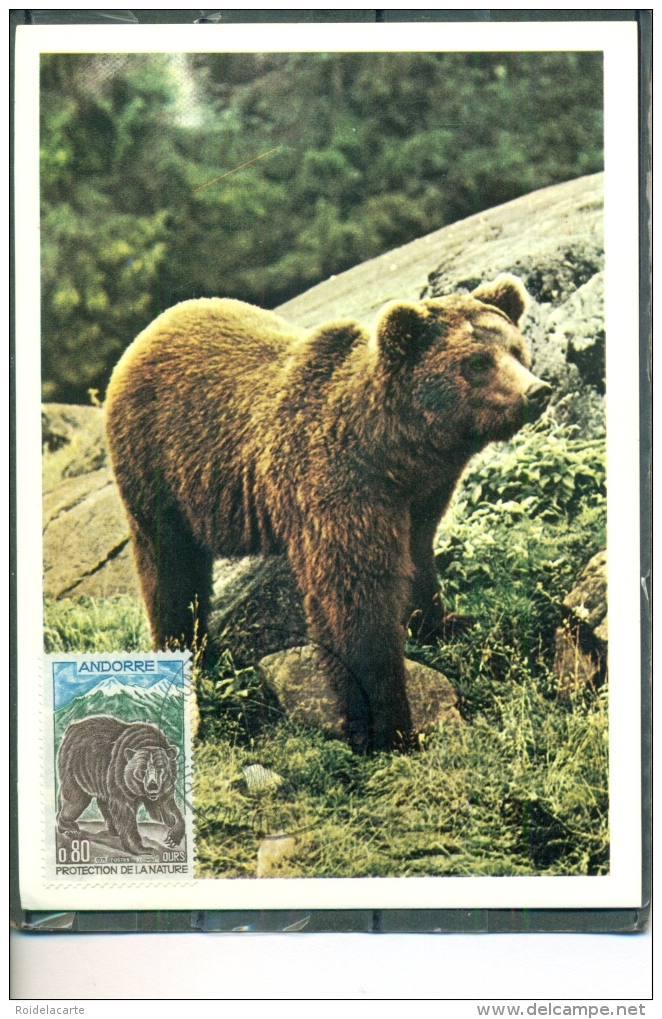 CM-Carte Maximum Card #1971-Andorre-Andorra # Animaux,animals,Tiere  # Ours,bear, Bräunbär  #  Andorre - Cartes-Maximum (CM)