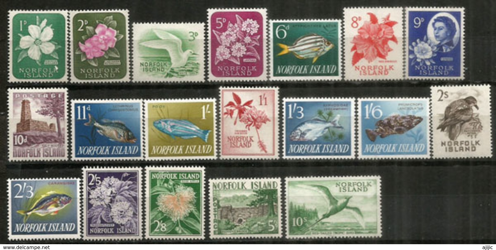 Série Complète Nr 26/44 .  Année 1960.  19 Timbres Neufs **   Forte Côte  150,00 Euro - Ile Norfolk