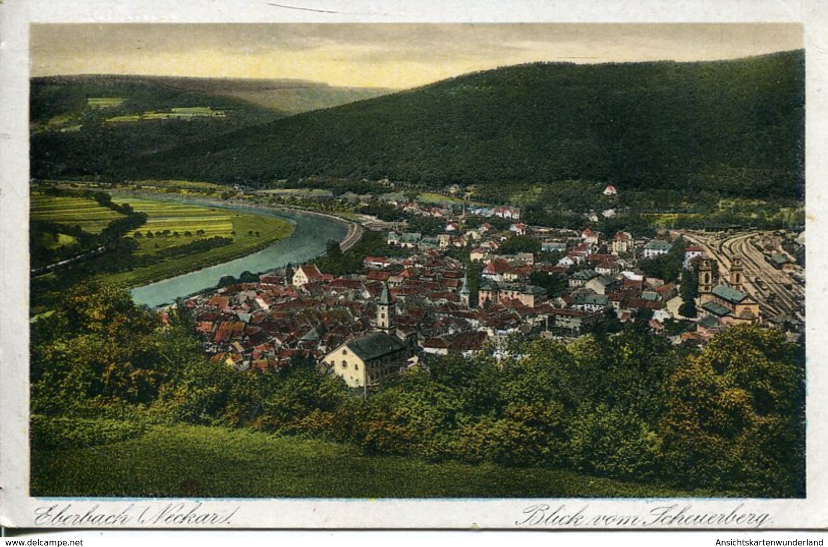 005744  Eberbach - Blick Vom Scheuerberg  1925 - Eberbach
