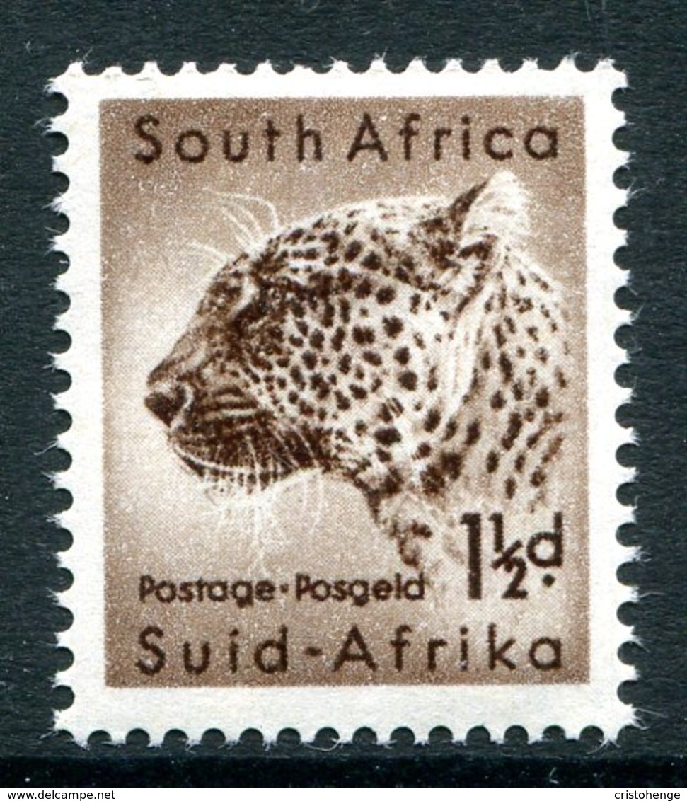 South Africa 1954 Wildlife - Wmk. Springbok - 1½d Leopard MNH (SG 153) - Unused Stamps