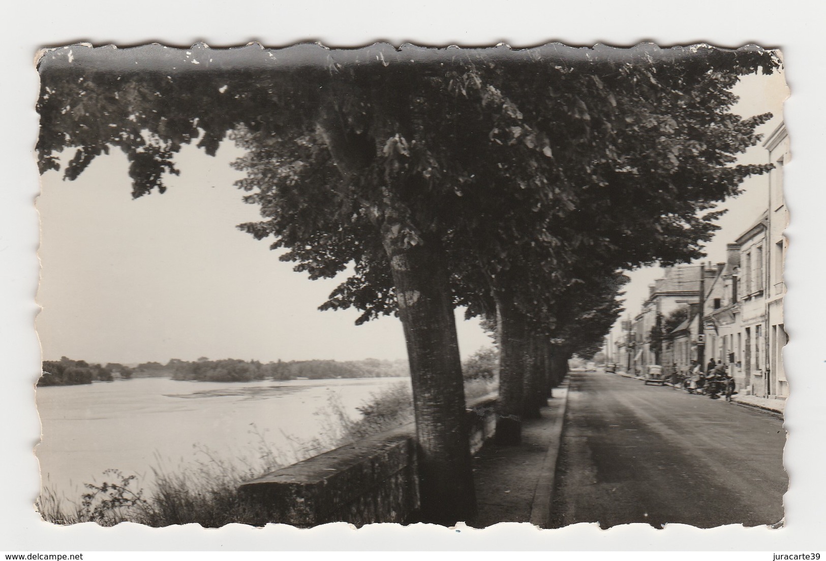 Fondettes.37.Indre Et Loire.La Guignière.La Loire.1960 - Fondettes