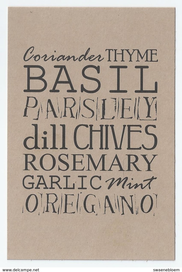 NL.- Coriander. THYME BASIL PARSLEY. DILL CHIVES ROSEMARY GARLIC MINT OREGANO -. Kaart Zonder Envelop. - Geneeskrachtige Planten