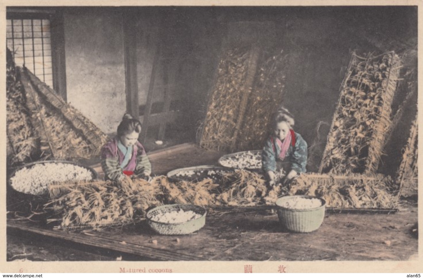 Japan Silk Industry #6 Mature Cocoons, Woman Working C1900s Vintage Postcard - Autres & Non Classés