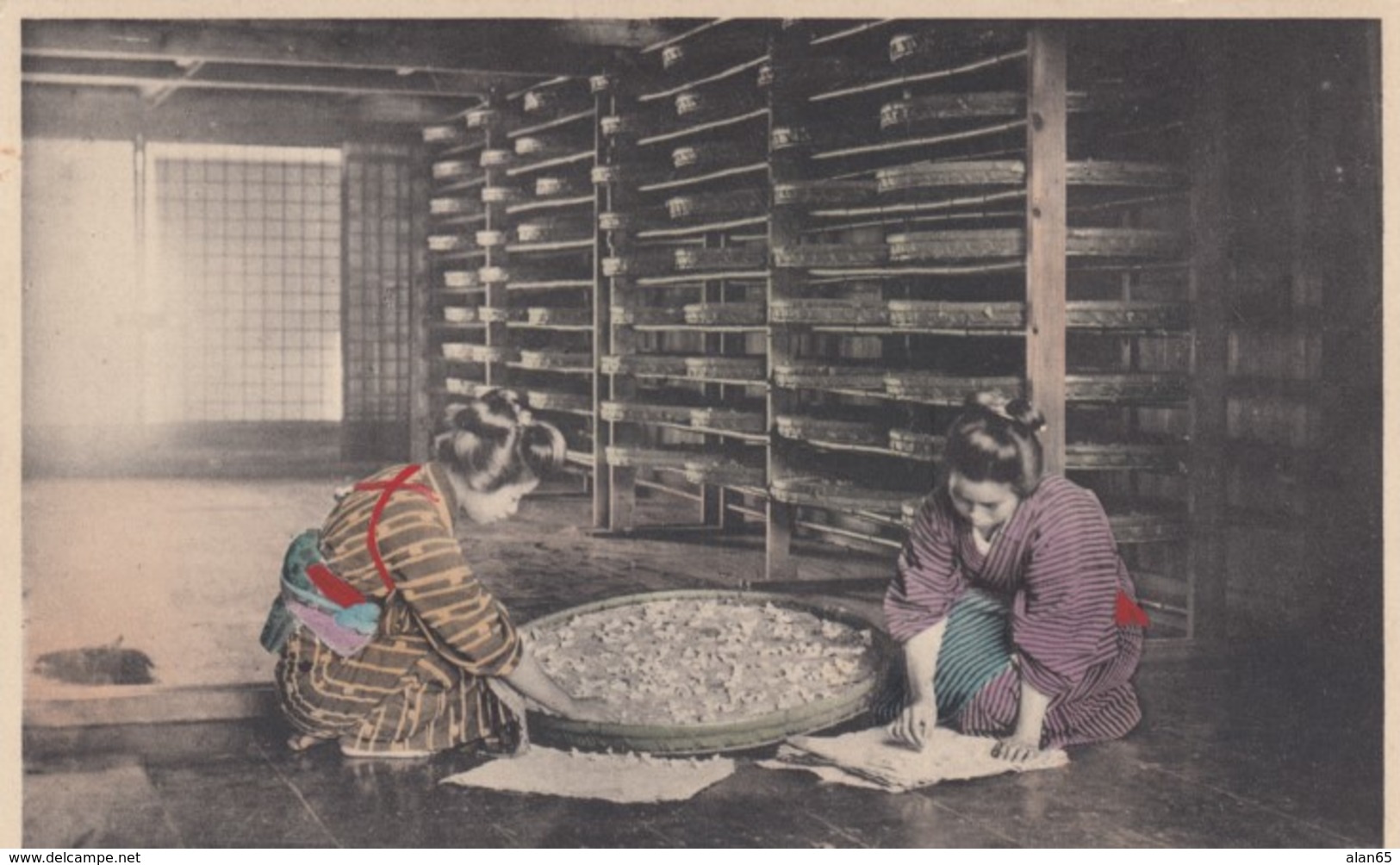 Japan Silk Industry #7 Maturing Cocoons Into Butterflies, Woman Working C1900s Vintage Postcard - Autres & Non Classés