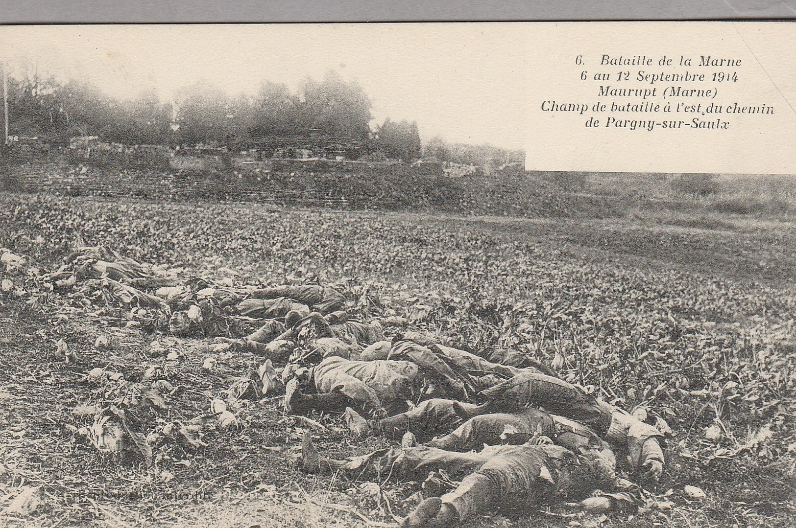 Bataille De La Marne 6 Au 12 Sept 1914 MAURUPT (Marne) Champ De Bataille à L'est Du Chemin De Pargny Sur Saulx - Weltkrieg 1914-18
