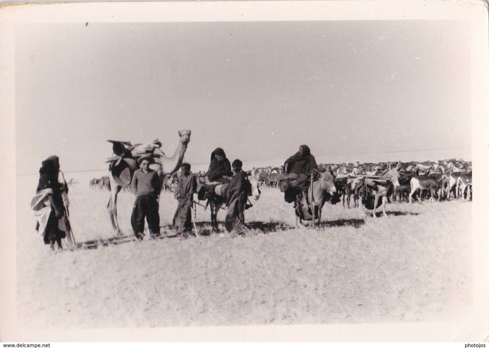 Lot De 6 Photos Afrique Traversée Du Sahara (Algérie) Bornes Kilometrique  ADRAR Colomb Bechar ..... - Lieux