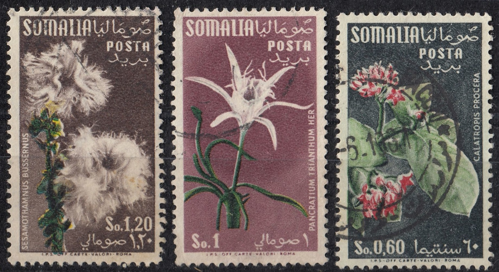 SOMALIA - 1955 - Lotto Di Tre Valori Obliterati: Yvert 240/242. - Somalia (AFIS)