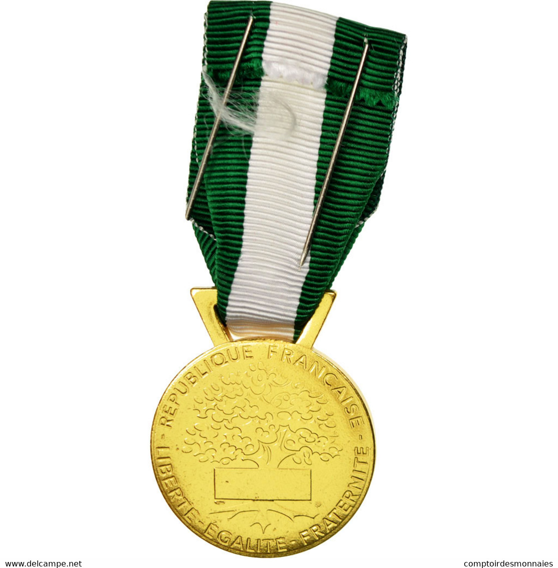 France, Médaille D'honneur Communale, Régionale Et Départementale, Médaille - Autres & Non Classés