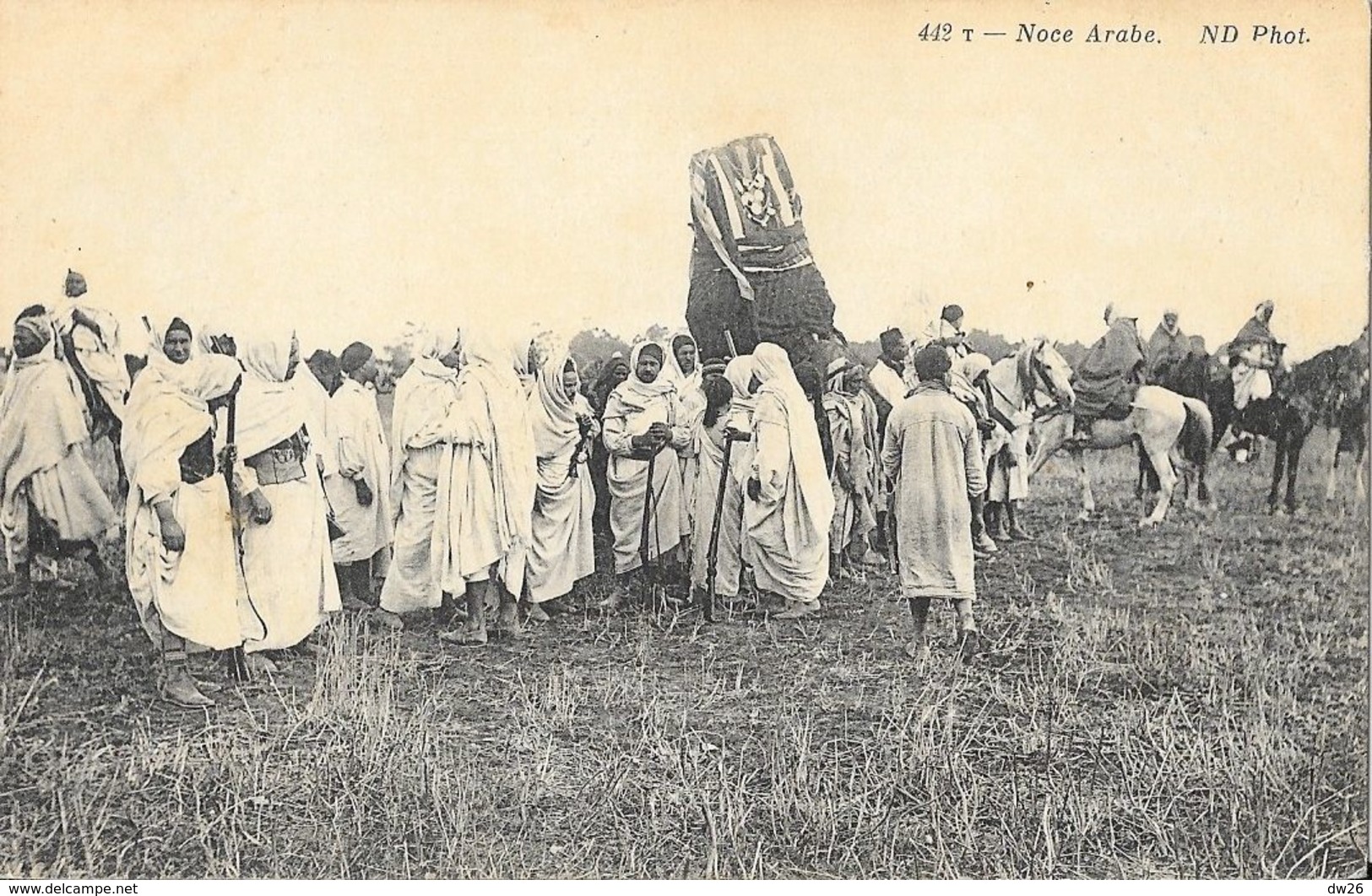 Noce Arabe (Tunisie? Algérie?) - Carte ND Phot. N° 442 T Non Circulée - Afrique