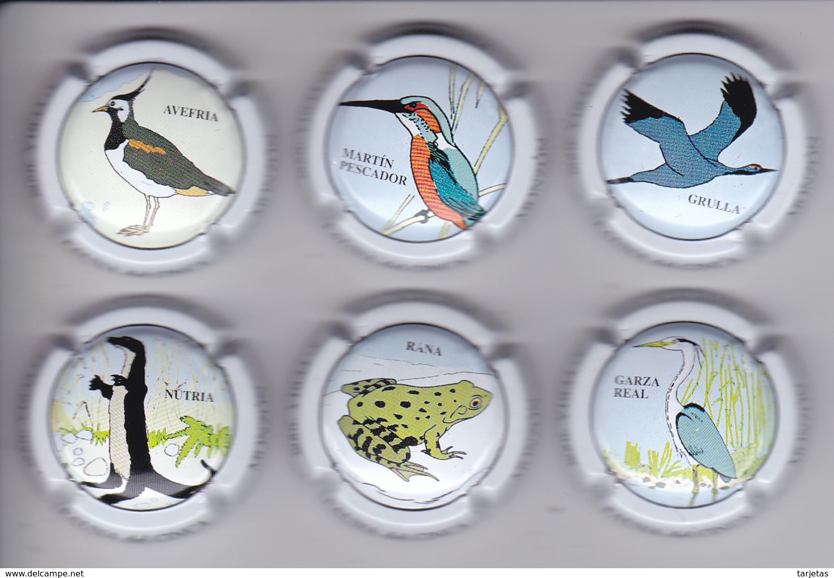 SERIE COMPLETA DE 6 PLACAS DE CAVA DE LA FAUNA DEL CINCA (CAPSULE) RANA-FROG-PAJARO-BIRD - Spumanti