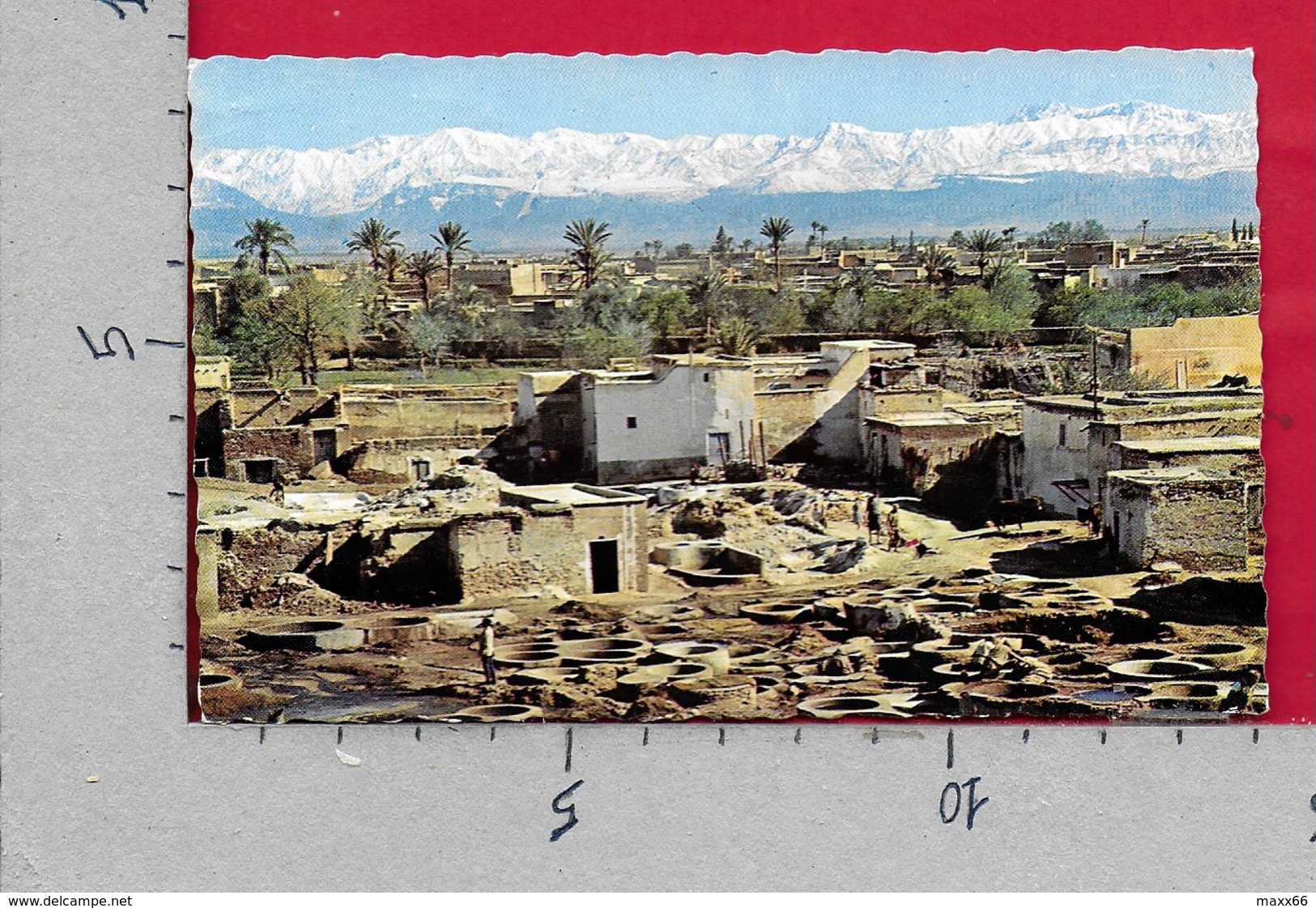 CARTOLINA VG MAROCCO - MARRAKECH - Panorama Vue Des Tanneries - 9 X 14 - ANN. 1966 - Marrakech