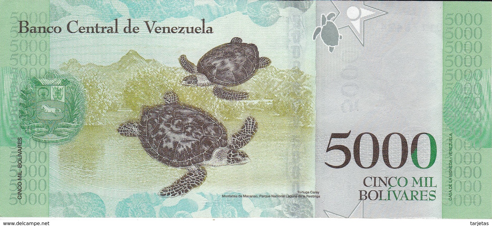 BILLETE DE VENEZUELA DE 5000 BOLIVARES DEL 18 DE AGOSTO DEL 2016 EN CALIDAD EBC (XF)  (BANKNOTE) TORTUGA-TURTLE - Venezuela