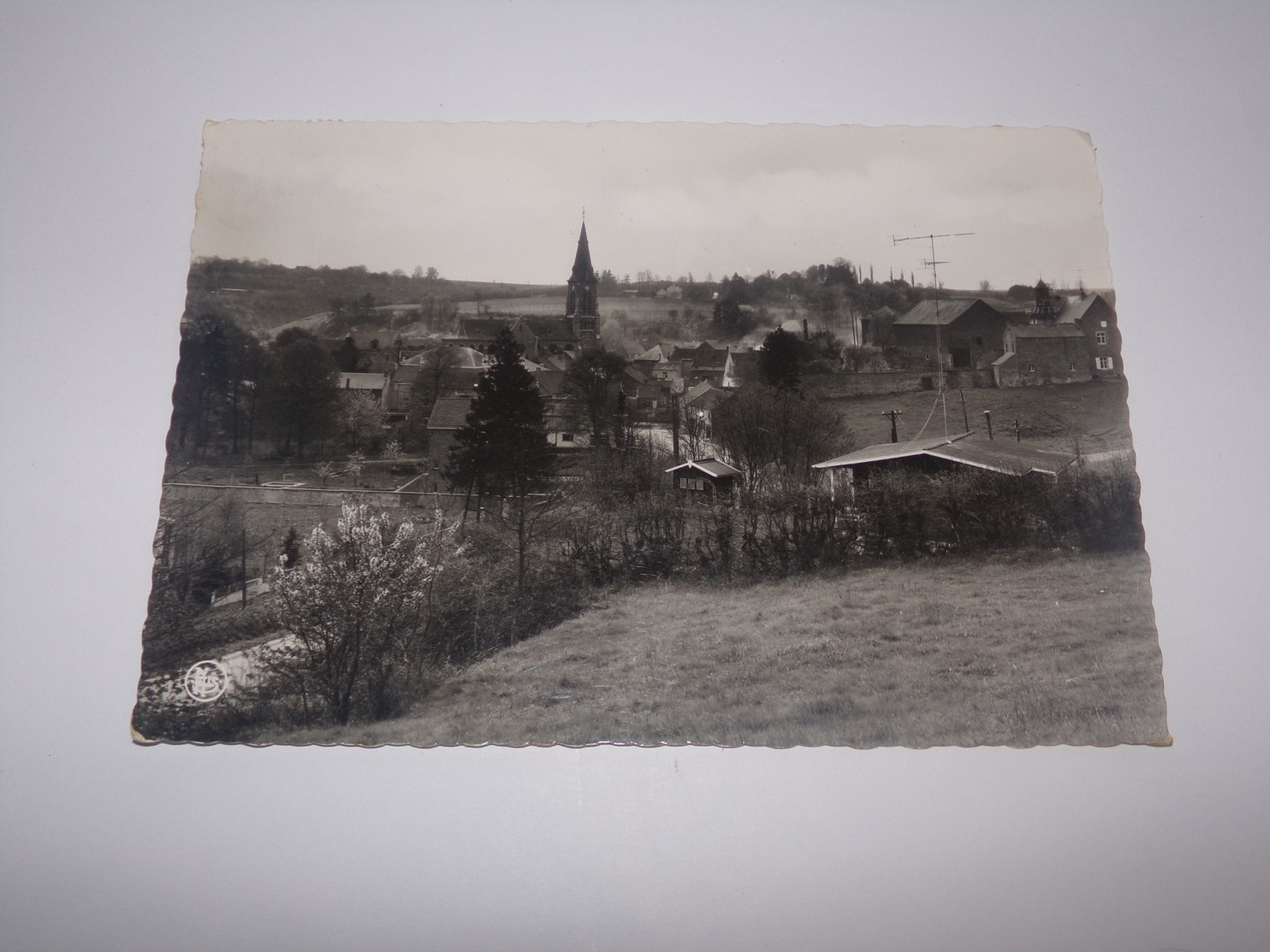 Ham Sur Heure.Panorama.Grand Format.Envoyée. - Ham-sur-Heure-Nalinnes